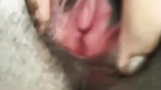 Playing with my furry beaver  me cum