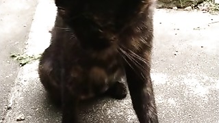 I just have fun a ultra-cute poon at morning!