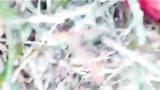 Cute desi girl outdoors, village mms