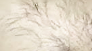 Arabe marocain . Jabo liha fo9 tabon